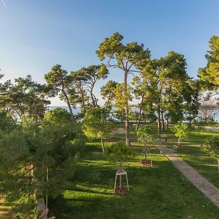 Apartment Hannah Novigrad Istria Dış mekan fotoğraf