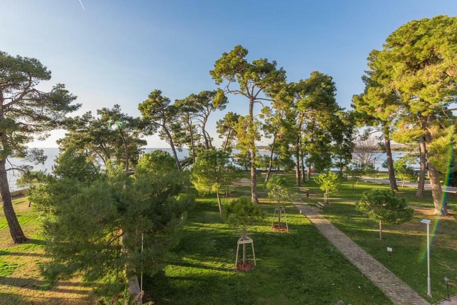 Apartment Hannah Novigrad Istria Dış mekan fotoğraf