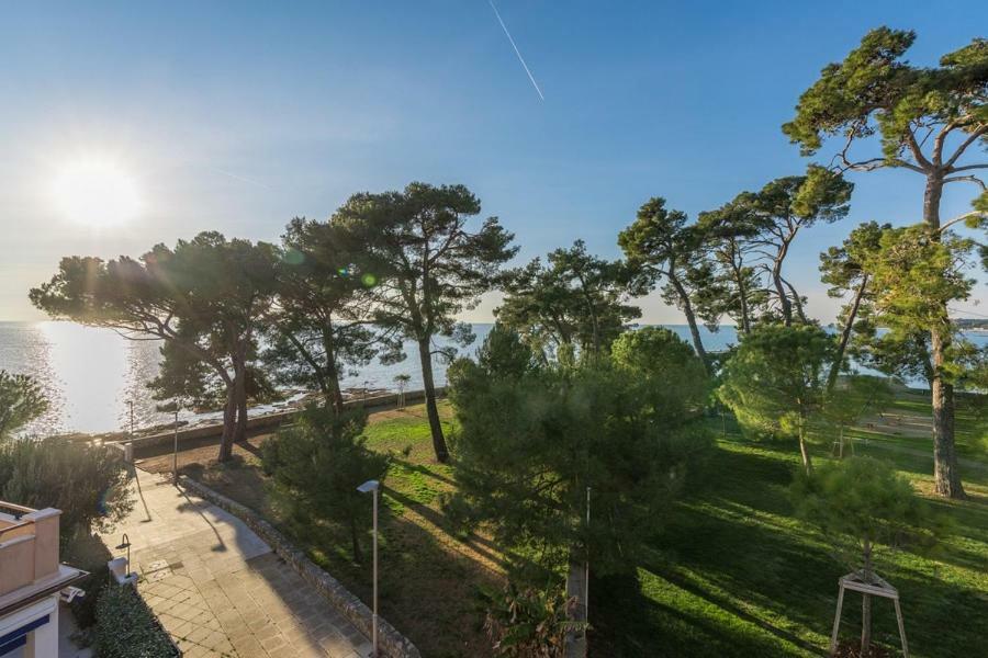 Apartment Hannah Novigrad Istria Dış mekan fotoğraf