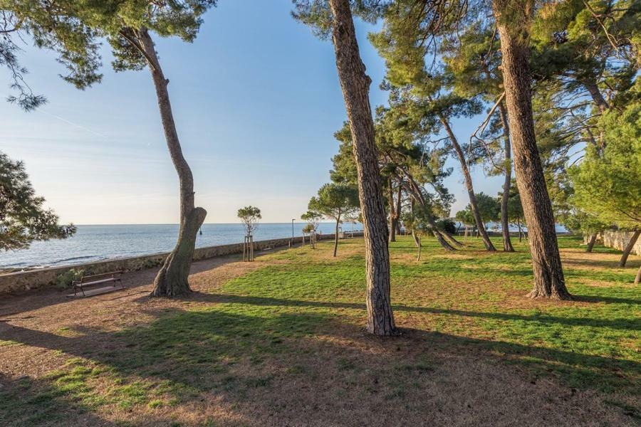 Apartment Hannah Novigrad Istria Dış mekan fotoğraf